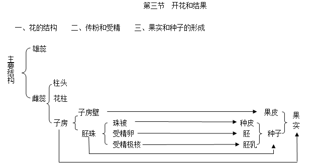 新部编版三年级下册语文《花钟》教案板书设计教学设计